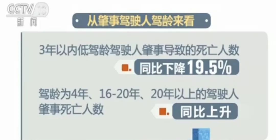 新奥门特免费资料大全今天的图片,警惕网络陷阱，新澳门特免费资料大全背后的风险