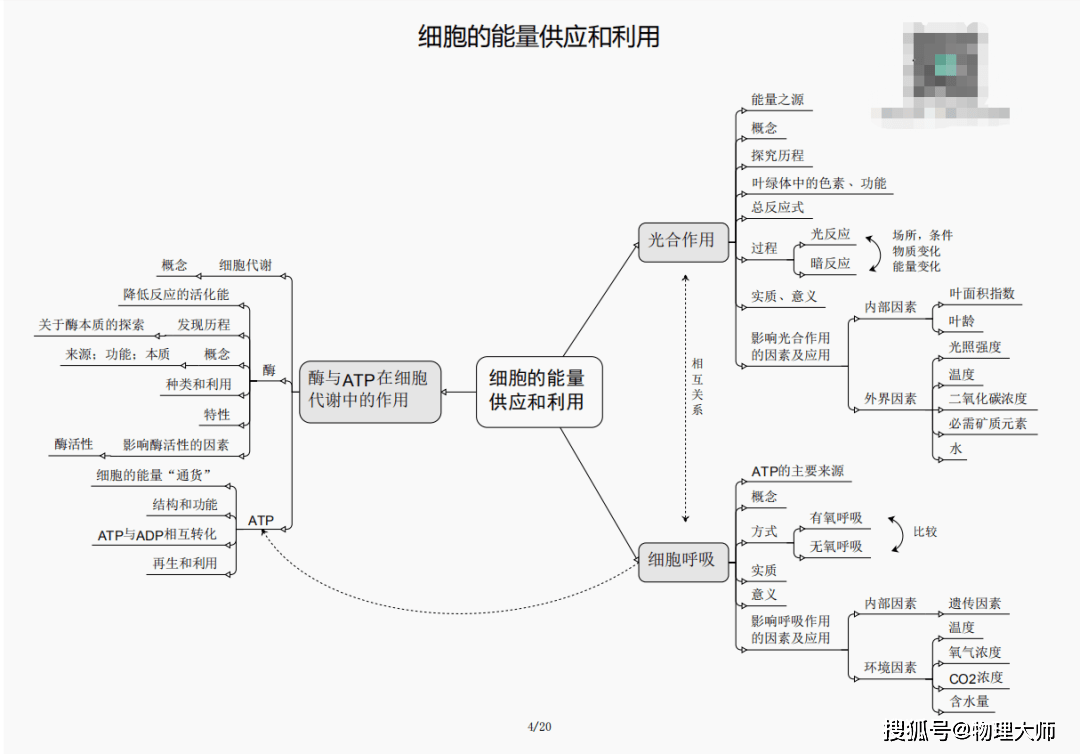 羊肠小道 第4页