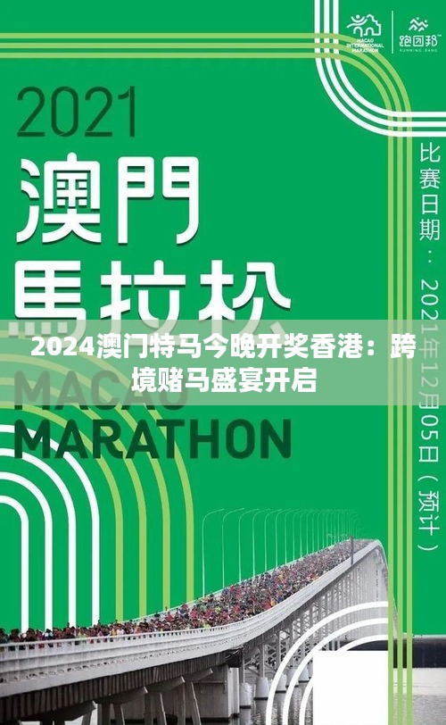 2024年今晚澳门开特马,探索澳门特马文化，2024年今晚澳门特马展望