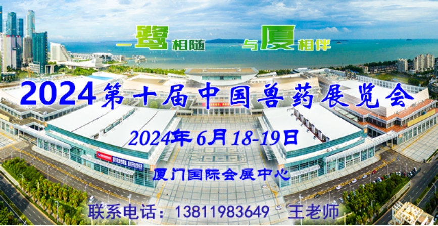 2024新澳门精准资材免费,新澳门精准资材免费——探索未来的机遇与挑战