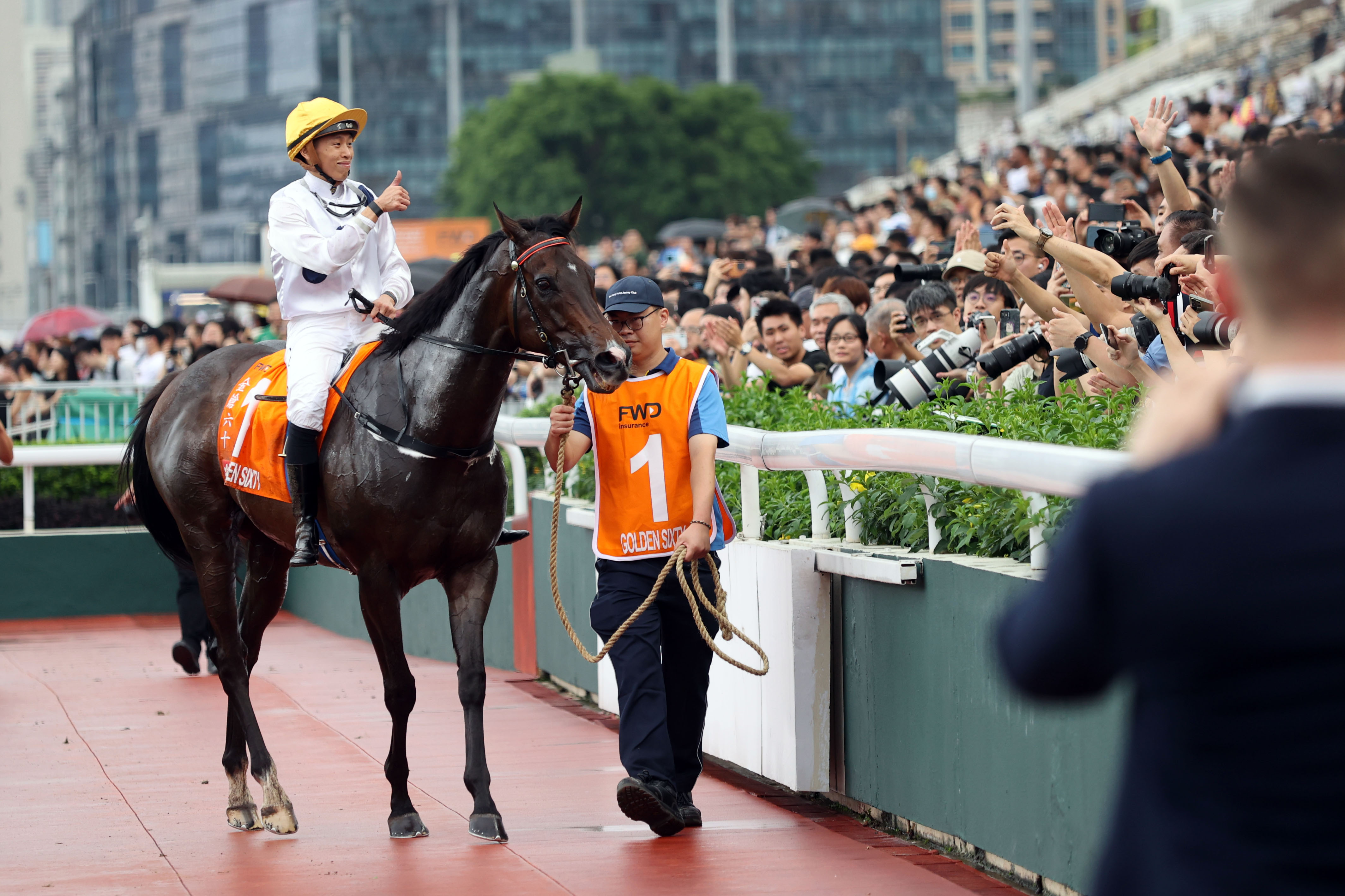 2024香港赛马全年免费资料,探索香港赛马，2024全年免费资料指南